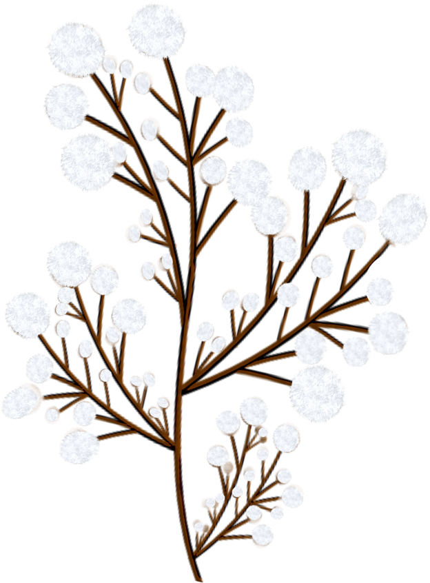 42 - Twig Clipart (900x900), Png Download