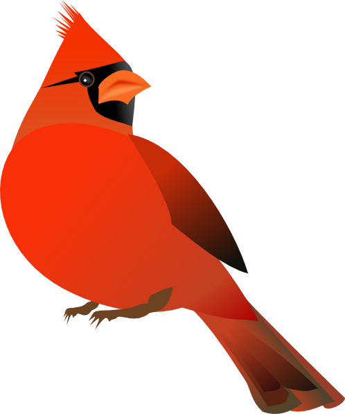 Red Cardinal Svg Clip Arts - Cardinal Clip Art - Png Download (498x597), Png Download