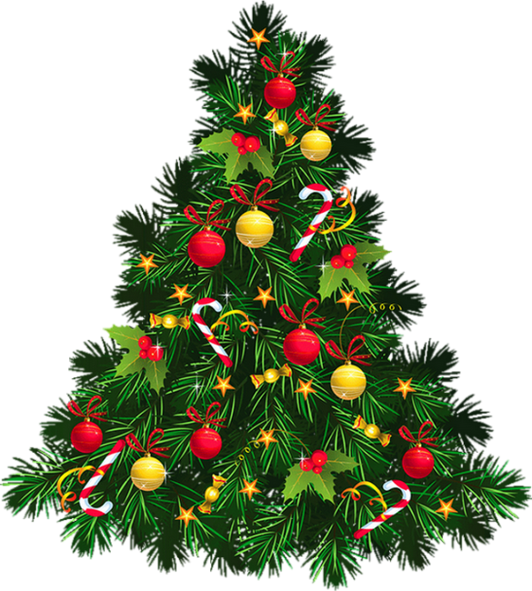 Christmas Tree With Transparent Background Clipart (585x650), Png Download