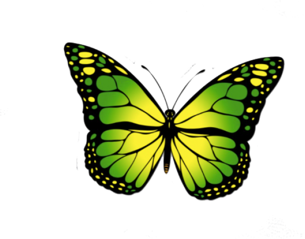 Blue Butterfly Clipart (640x488), Png Download