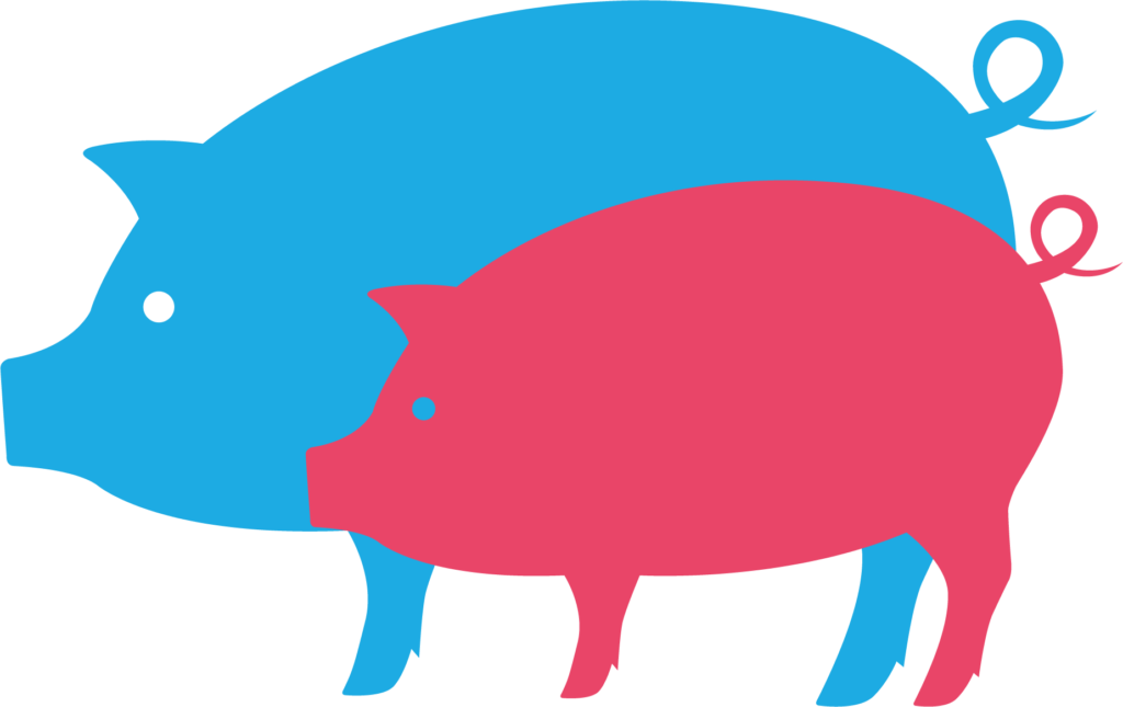 Pig Png Download Clipart (1024x645), Png Download
