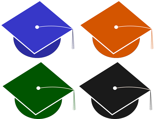 Hat, Graduation, School, Cap, Collage, Student - Tassel Clipart - Png Download (640x495), Png Download