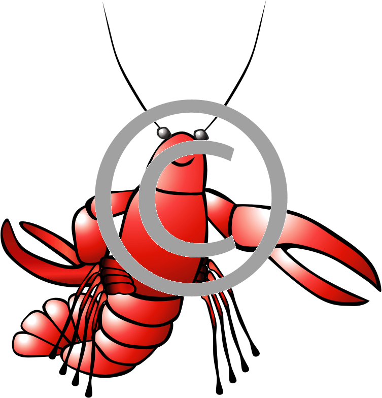 Crayfish Clip Art - Png Download (753x784), Png Download
