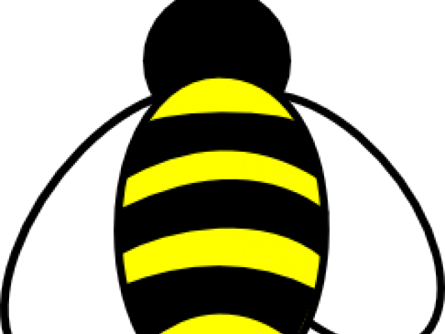 Bumblebee Clipart Bee Knee - Honey Bee Drawing - Png Download (640x480), Png Download