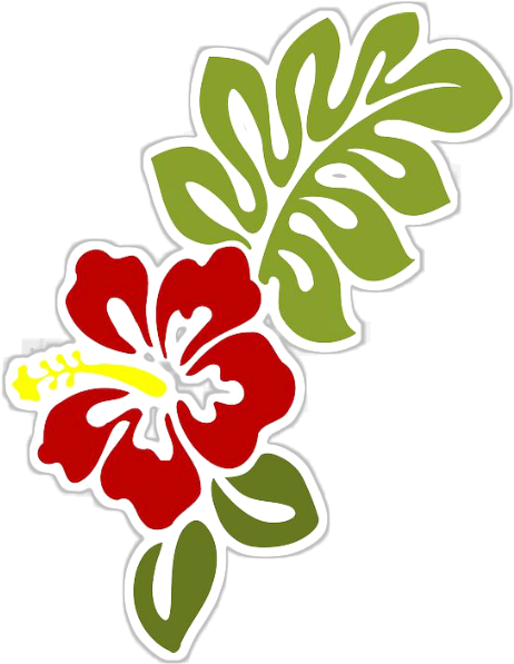 More Information - Hibiscus Clip Art - Png Download (519x640), Png Download