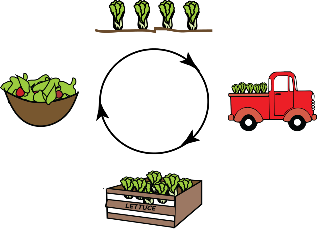 An Edible Education The Berkeley Science Review - Education Clipart (1024x739), Png Download