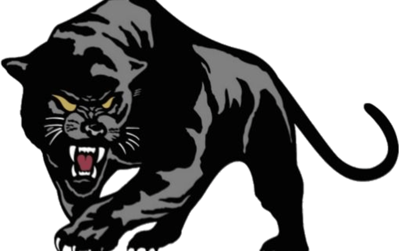 Black Panther Clipart Pioneer - Black Panther - Png Download (720x720), Png Download