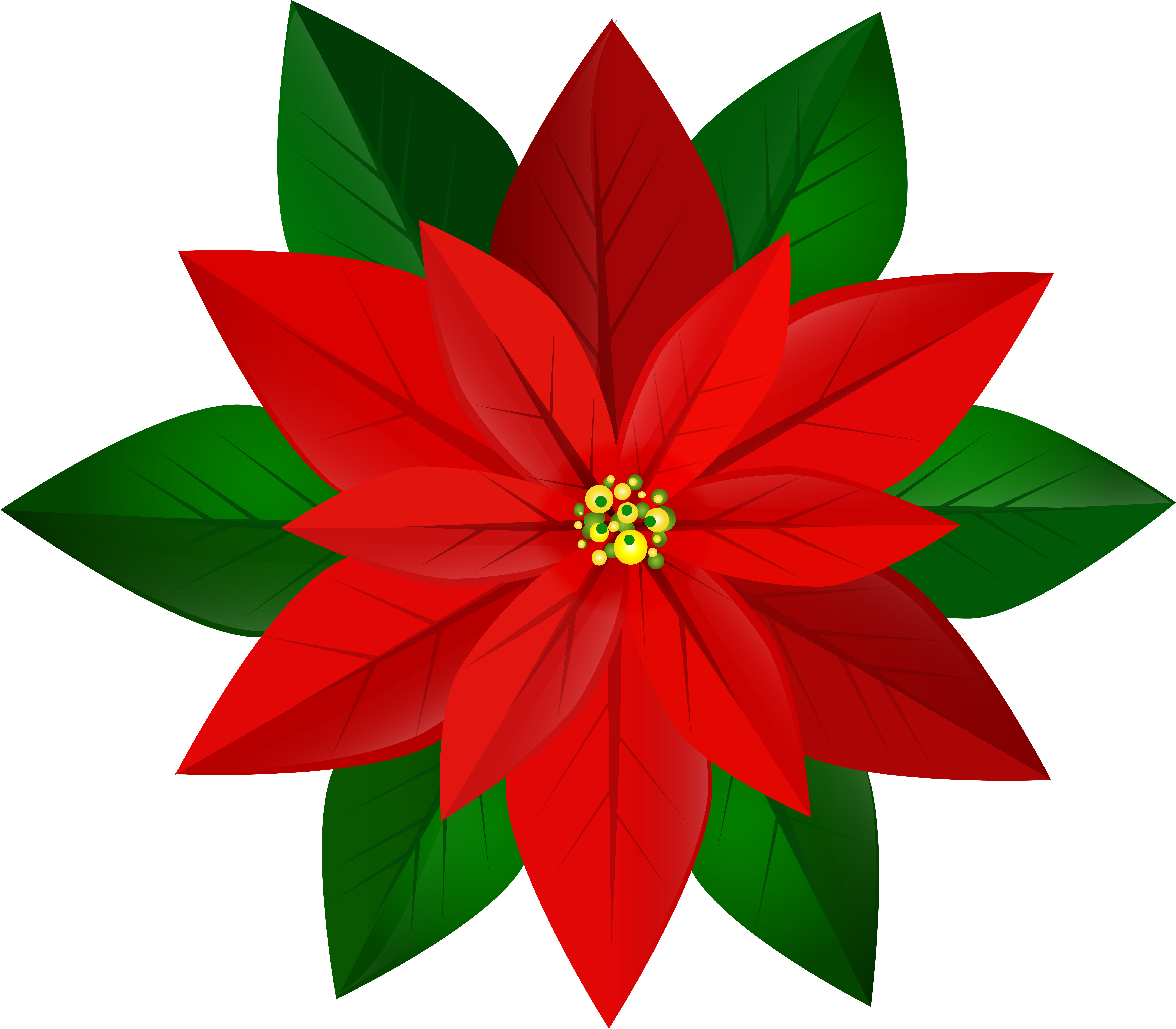 Poinsettia Clip Transparent - Png Download (8000x7003), Png Download