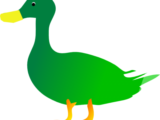 Green Clipart Ducks - Clip Art - Png Download (640x480), Png Download