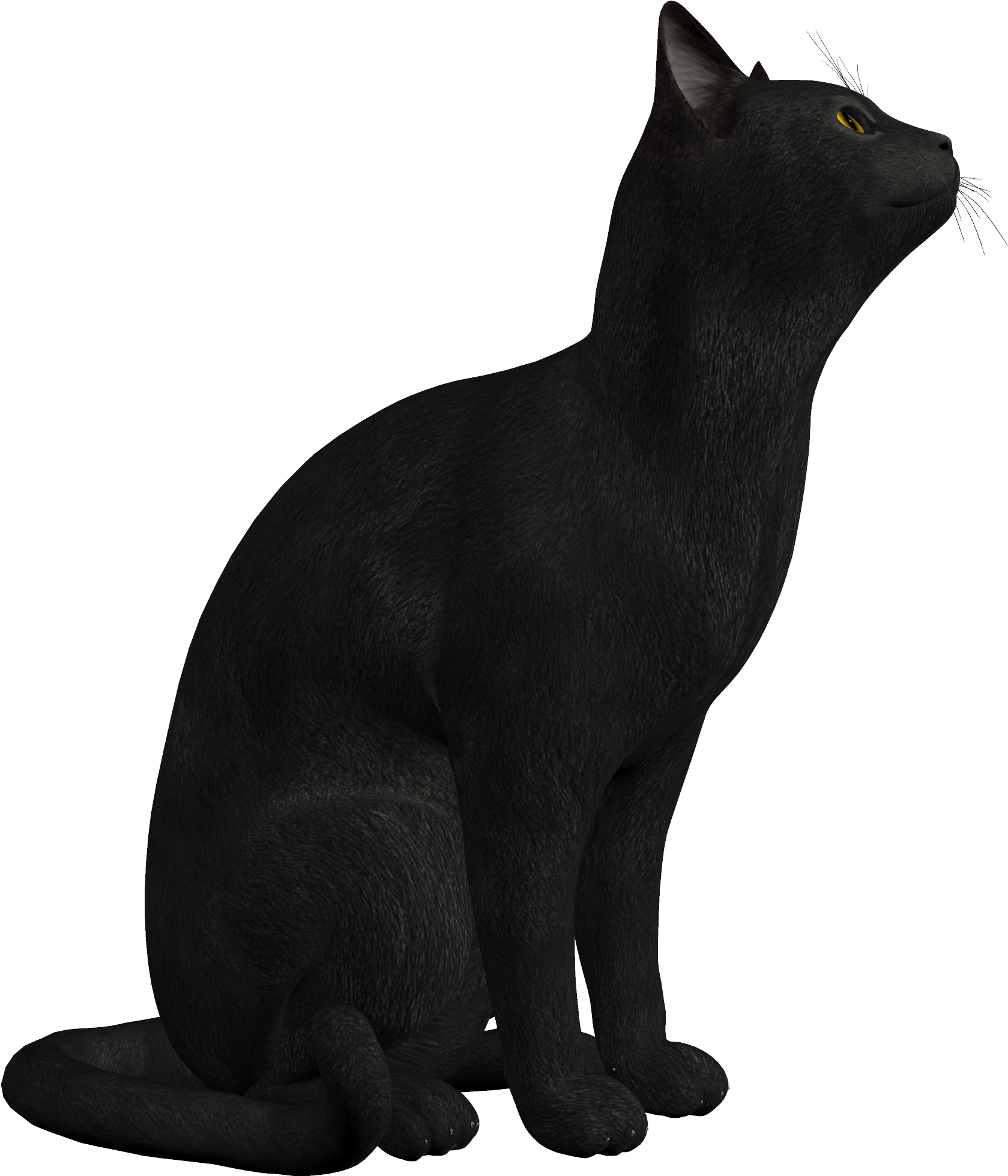 Png Clipart Best Web - Black Cat Png Transparent Png (1745x2000), Png Download