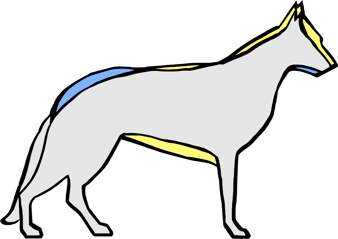 German Shepherd Dog In The Past And Now - German Shepherd Clipart (800x600), Png Download