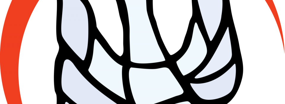 1534960707261 - Portable Network Graphics Clipart (960x350), Png Download