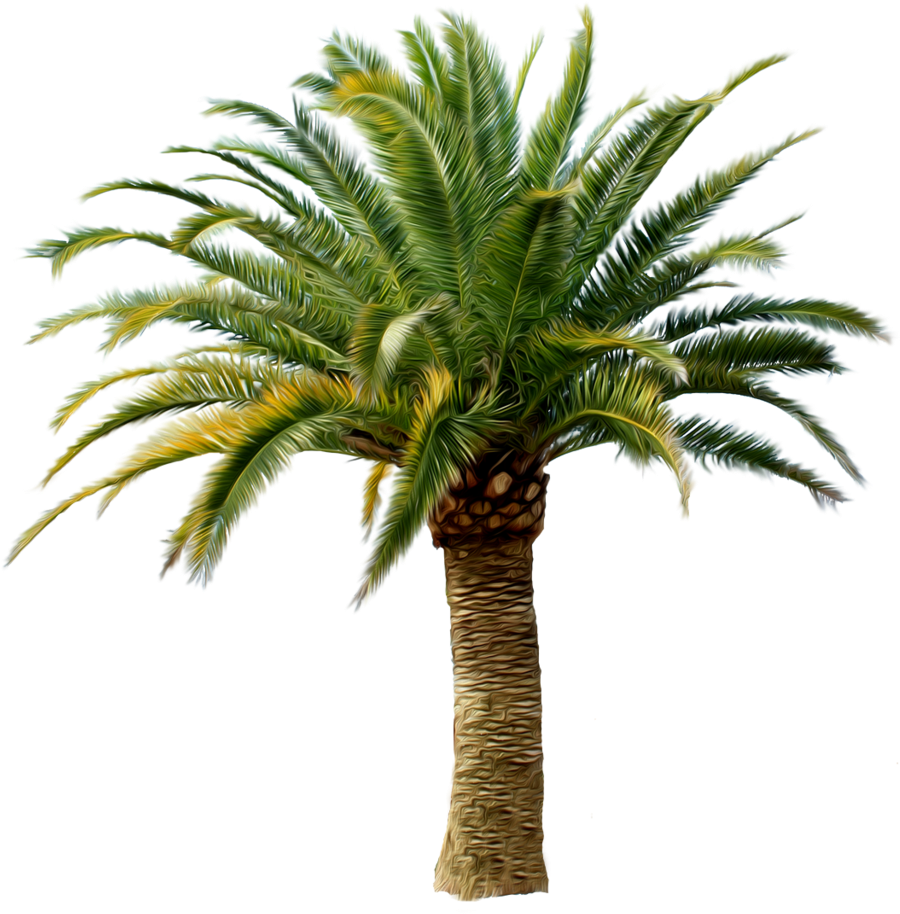 Palm Tree Png Maundy Thursday Clip Art Maundy Thursday - Tom Sawyer Abroad &amp; Tom Sawyer, Detective (wordsworth Transparent Png (1024x1024), Png Download