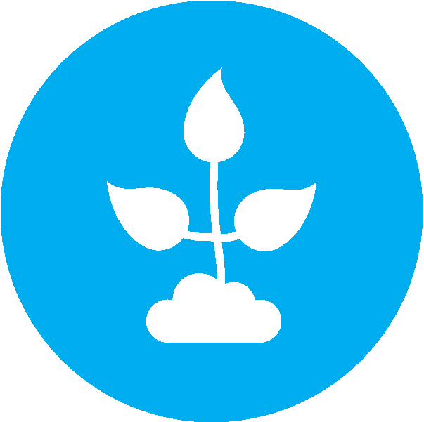 Environment - Games Icon Clipart (635x606), Png Download