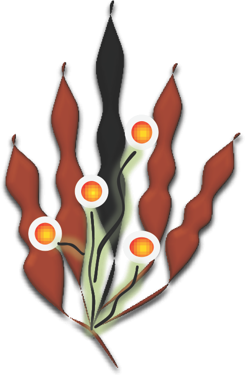 "big Sister" - Indigenous Australians Clipart (476x945), Png Download