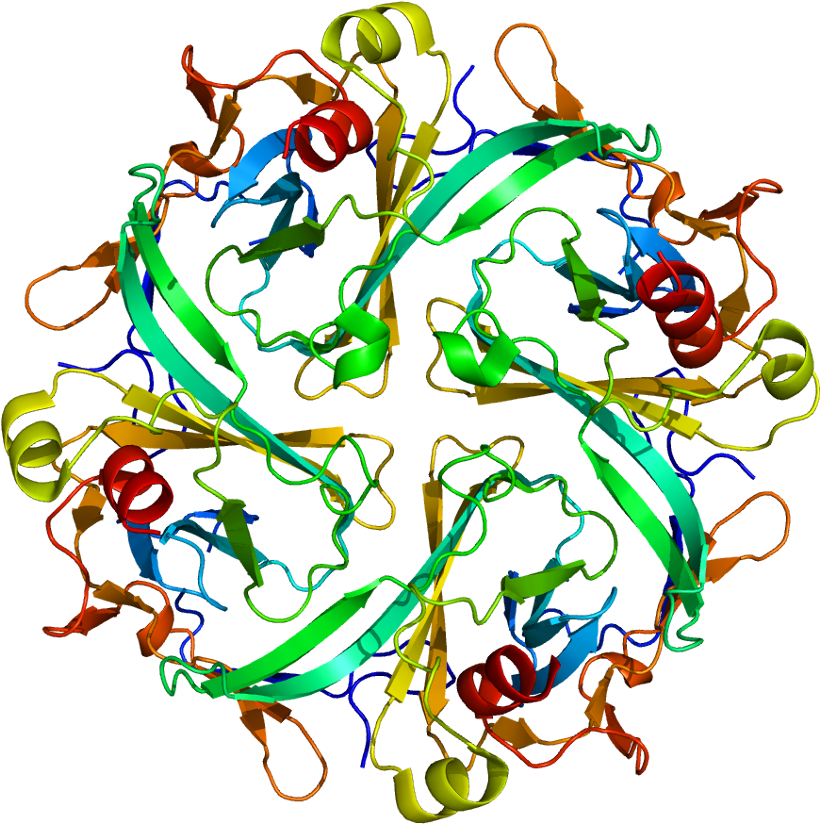 Illustration Clipart (869x873), Png Download