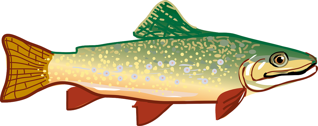 Picture Of Milk Picture Of Meat Picture Of Fish - Trout Clipart - Png Download (1280x510), Png Download