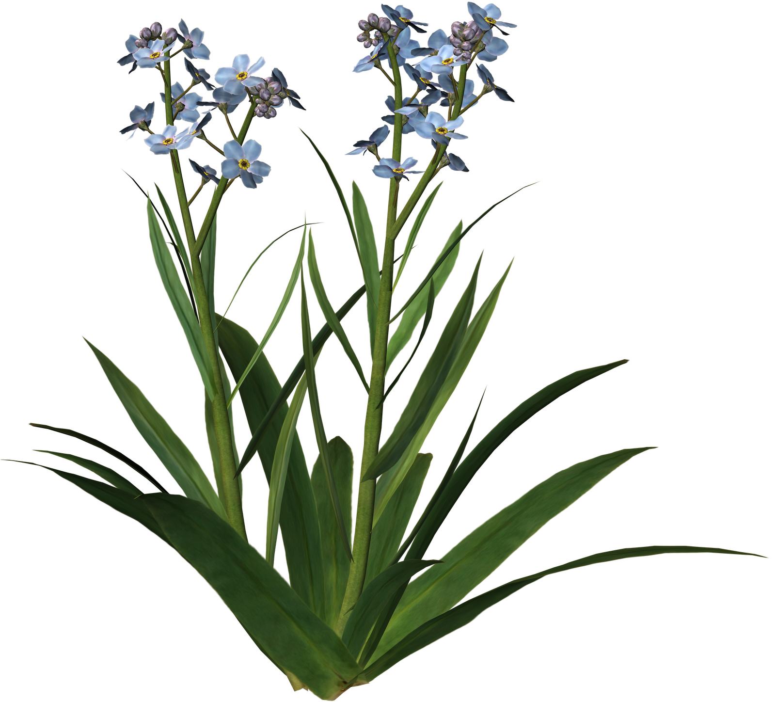 Misc Png Clip Art - Clip Art Transparent Png (1600x1600), Png Download