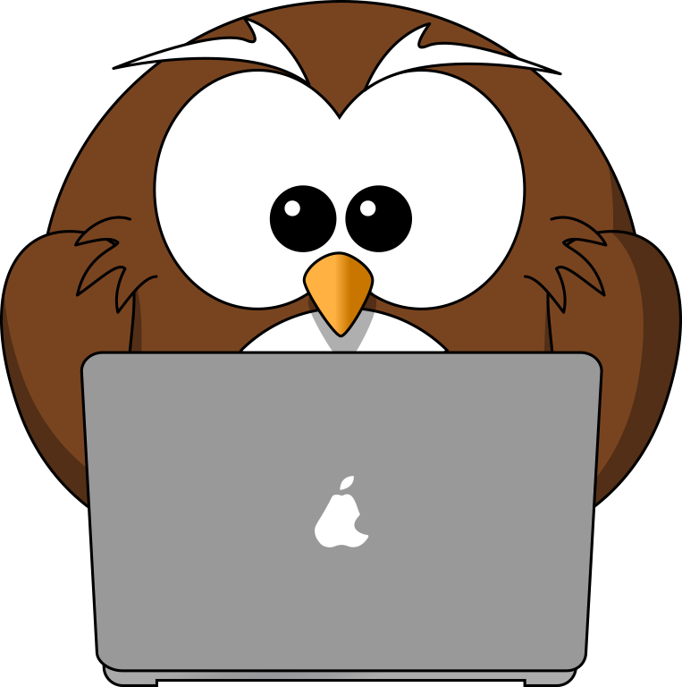 Cartoon Owl Clipart Jpg - Cartoon Owl On Computer - Png Download (763x768), Png Download