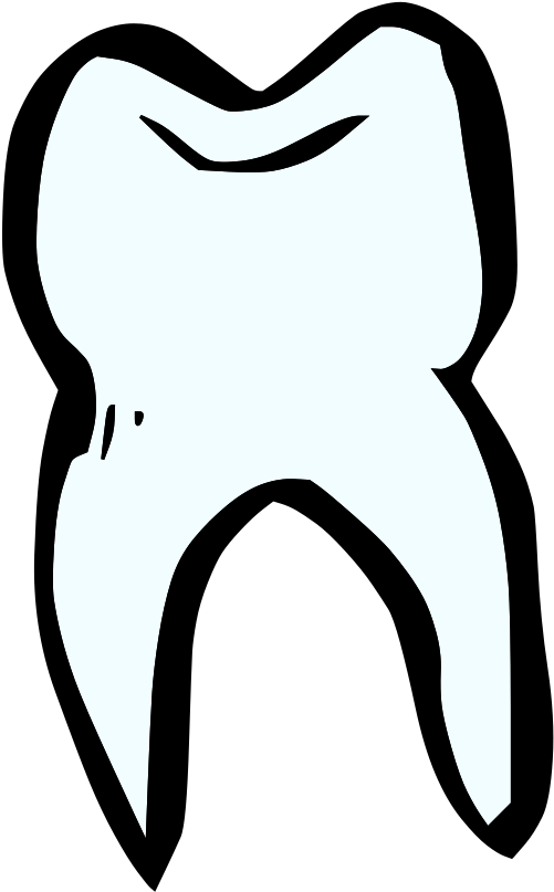 Floss Your Teeth - Tooth Clip Art - Png Download (794x1280), Png Download