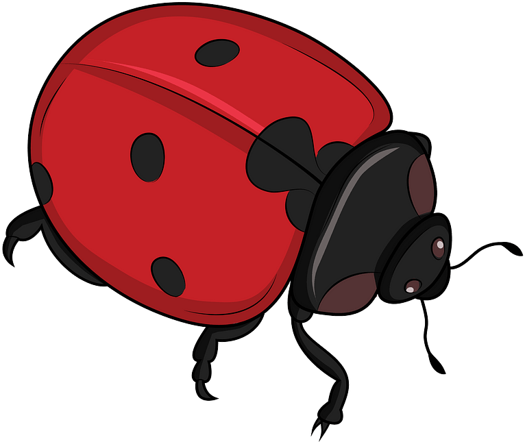 Ladybug Clipart - Ladybug - Png Download (800x689), Png Download