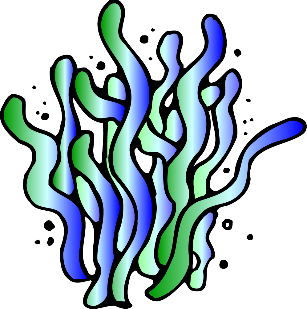 Clip Art - Png Download (997x1002), Png Download