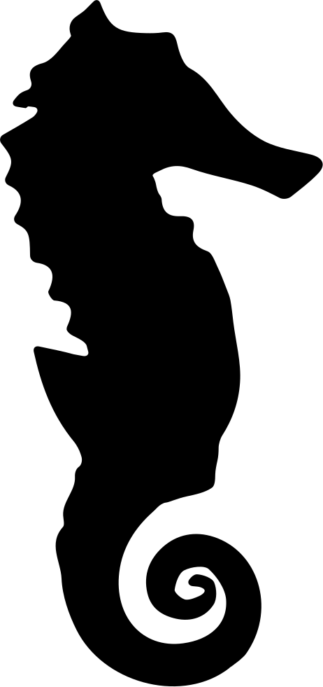 Seahorse Silhouette - Silhouette Sea Horse Png Clipart (462x981), Png Download