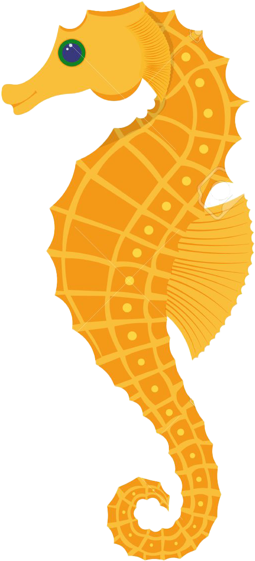 Seahorse Vector Illustration Clipart (1300x1300), Png Download