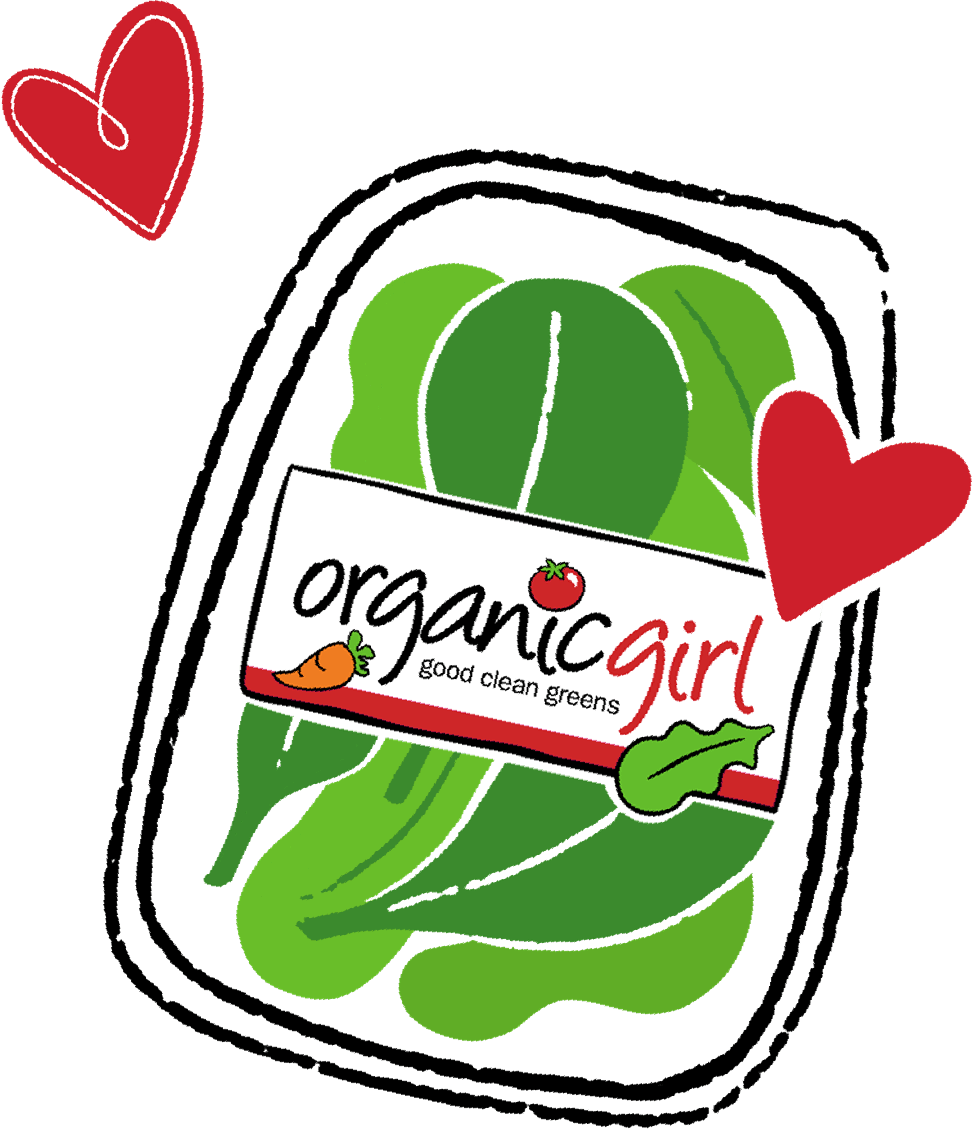 Og Clamshell Salad Box Clipart (973x1129), Png Download