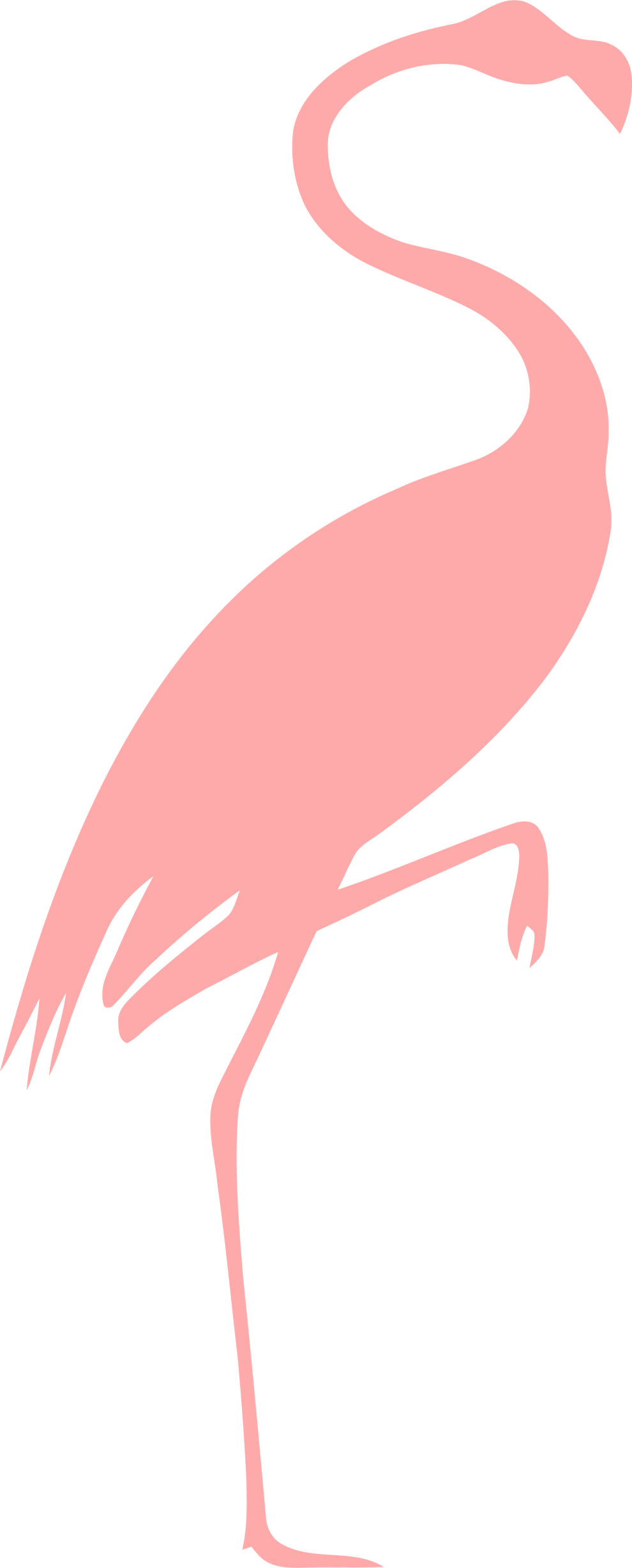 Clip Art Pink Flamingo - Png Download (990x2454), Png Download