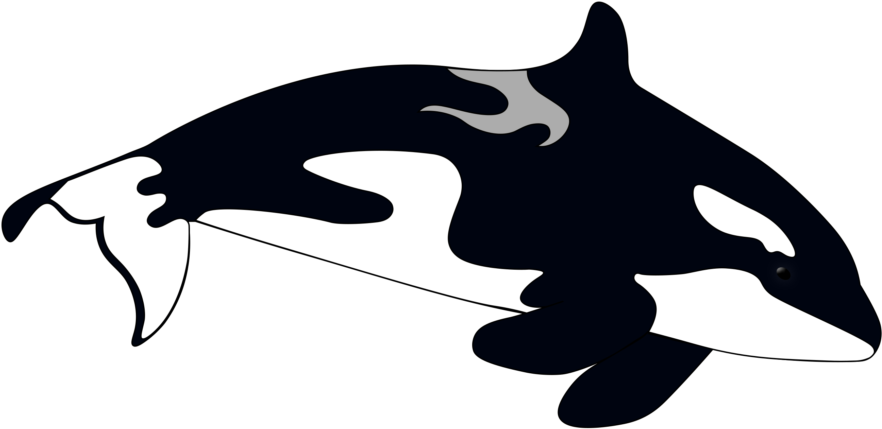 Illustration Clipart (1024x541), Png Download