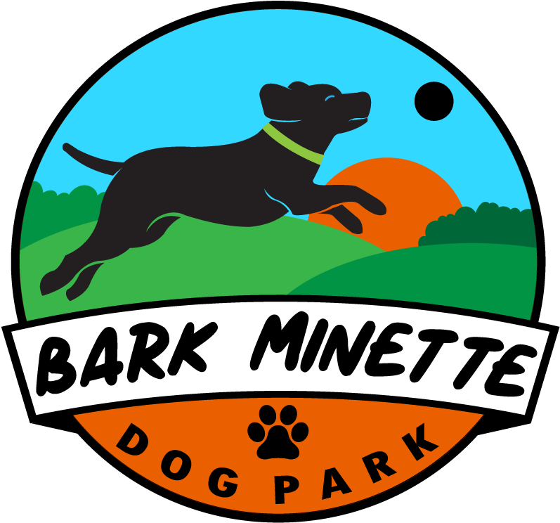 Dog Catches Something Clipart (864x864), Png Download