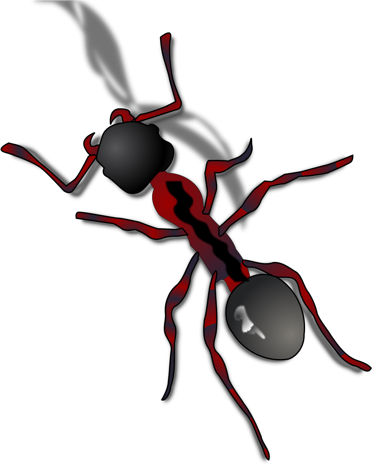 Cartoon Ants Transparent Background Gif Clipart (1600x1600), Png Download