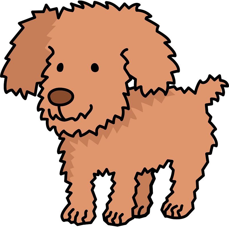 Poodle Dog Animal Clipart - Toy Dog Clipart - Png Download (800x793), Png Download