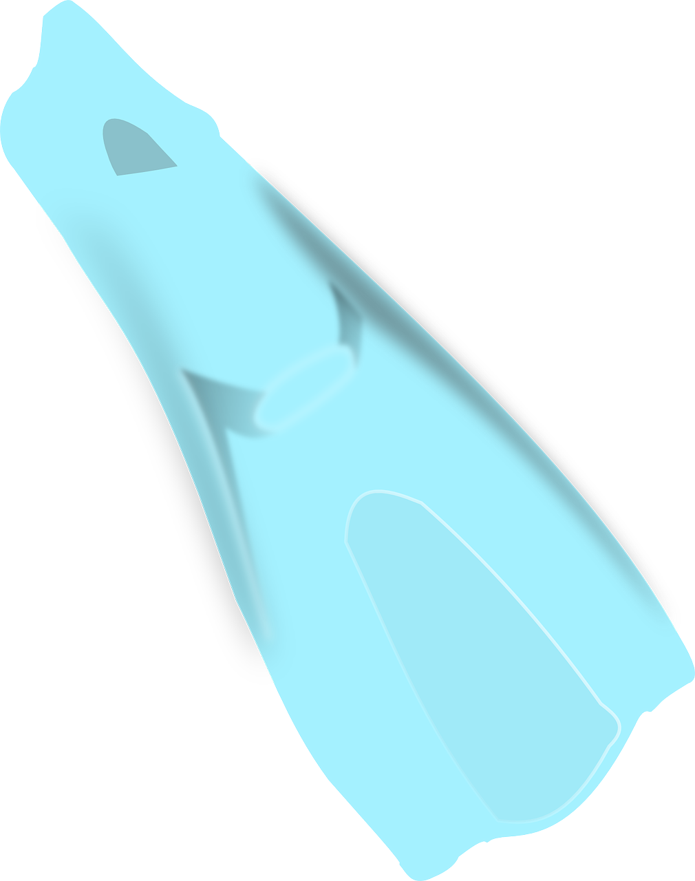 Transparent Swimming Fins Clipart (1010x1280), Png Download
