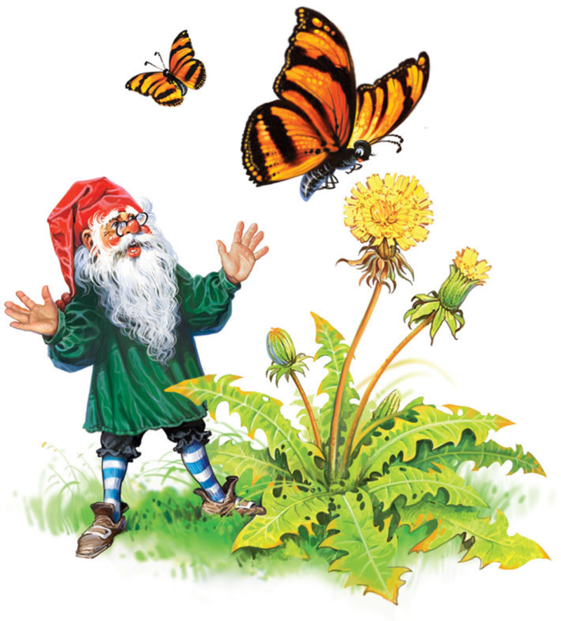 Fairy Clipart Gnome - Dwarf - Png Download (800x886), Png Download