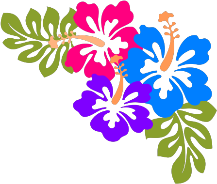 Hibiscus Svg Clip Arts - Hibiscus Clip Art - Png Download (1024x1024), Png Download