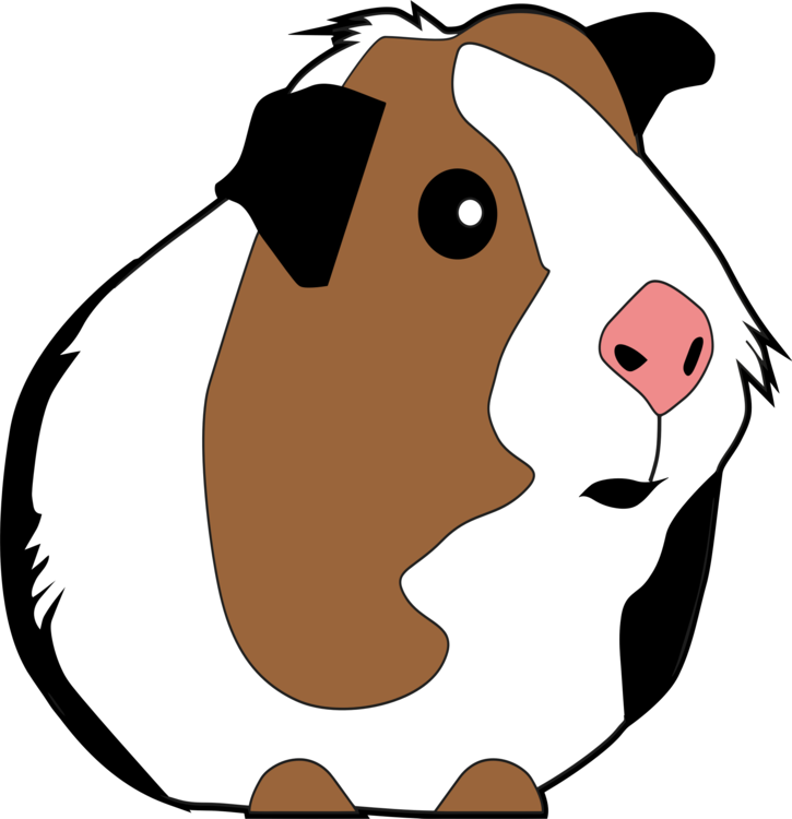 Head neck non Sporting Group Guinea Pig Clipart Transparent Png 