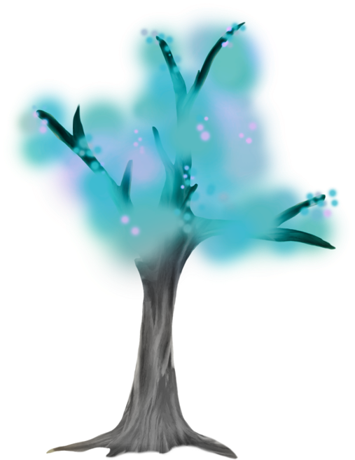 Still Life Photography Clipart (567x800), Png Download