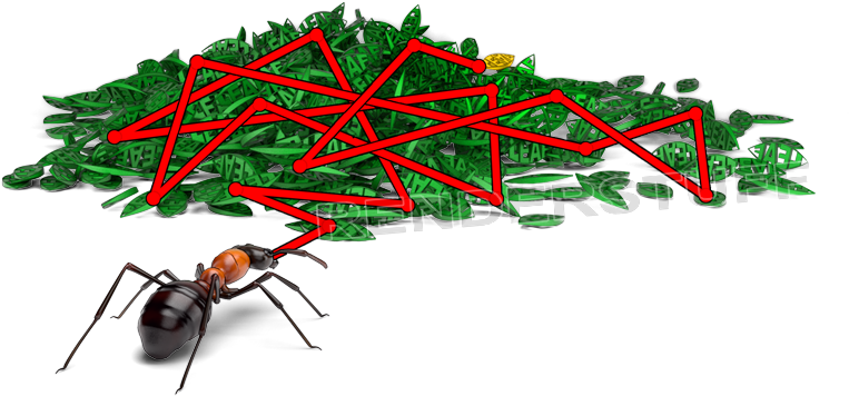 Uuorganized Data Like A Leaves Pile, Ant Hardly Finds - Membrane-winged Insect Clipart (800x406), Png Download