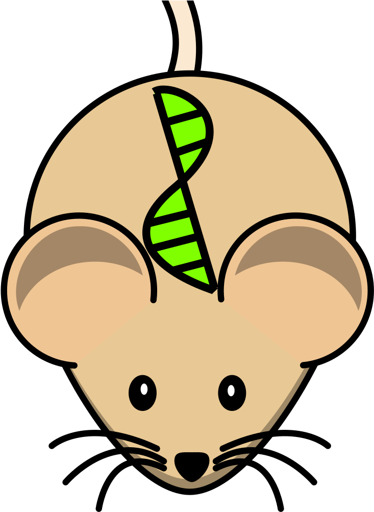 Transgenic Mouse Svg Clip Arts - Mouse Clipart - Png Download (1024x1024), Png Download