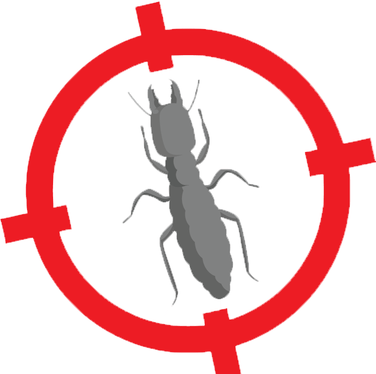 Longhorn Beetle Clipart (750x754), Png Download