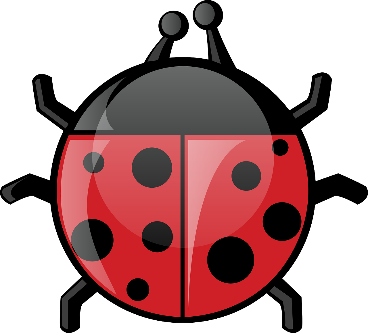 Ladybugs Black And White Cliparts - Png Download (1280x1159), Png Download