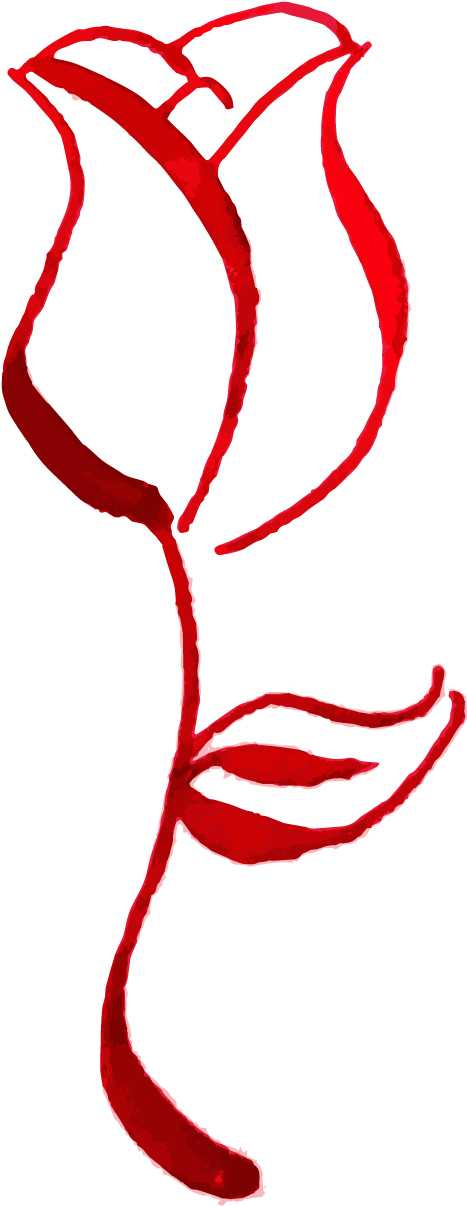 December Rose Clipart (541x1252), Png Download