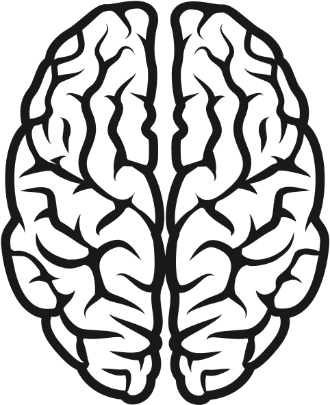 Brain - Brain Clipart Black And White Png Transparent Png (600x600), Png Download