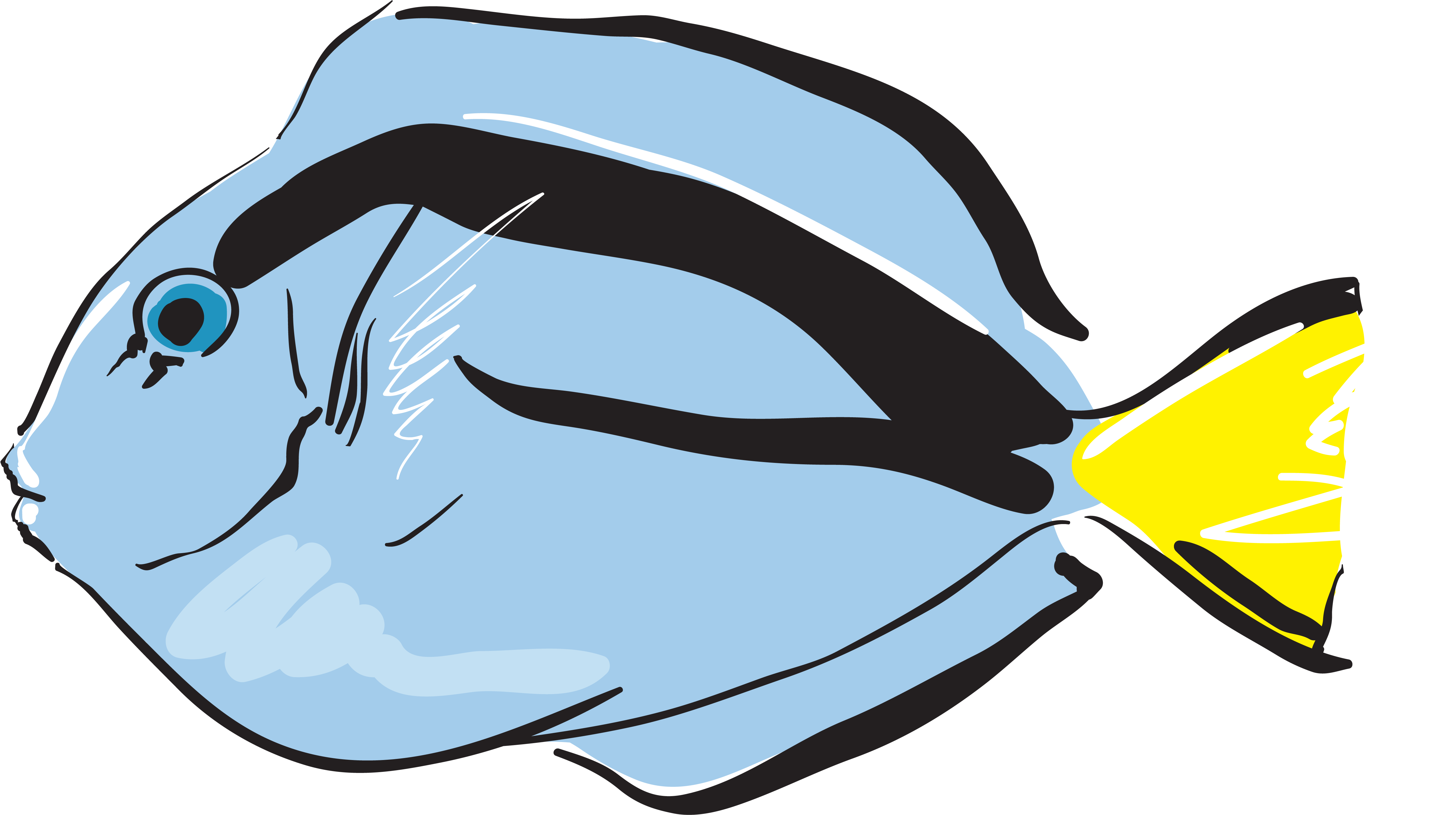 Clip Art Portable Network Graphics Fish Gif Line Art - Portable Network Graphics - Png Download (5169x2903), Png Download