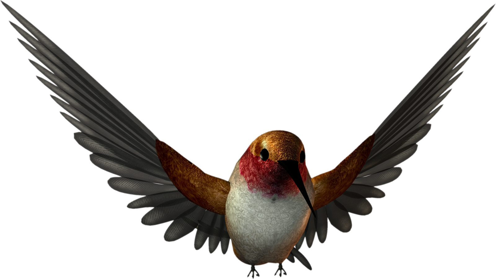 Transparent Free Graphics Images Cliparts - Bird Png High Resolution (1600x900), Png Download