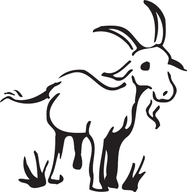Goat Drawing Clipart - Png Download (600x617), Png Download