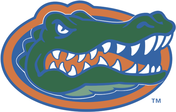 Florida Gators Decal Clipart (800x600), Png Download