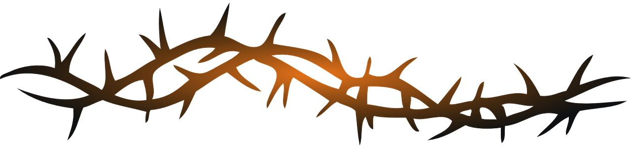 Thorn Png Clipart (1280x300), Png Download